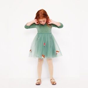 Boden Velvet Tulle Appliqué Dress.  4-5years old